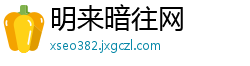 明来暗往网